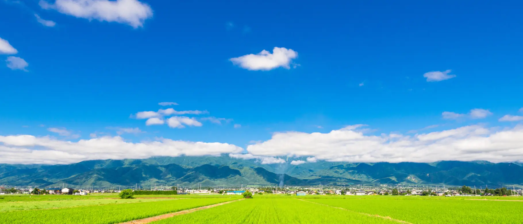 自然農法・自然栽培の研修生募集について(新規就農里親制度対応版)