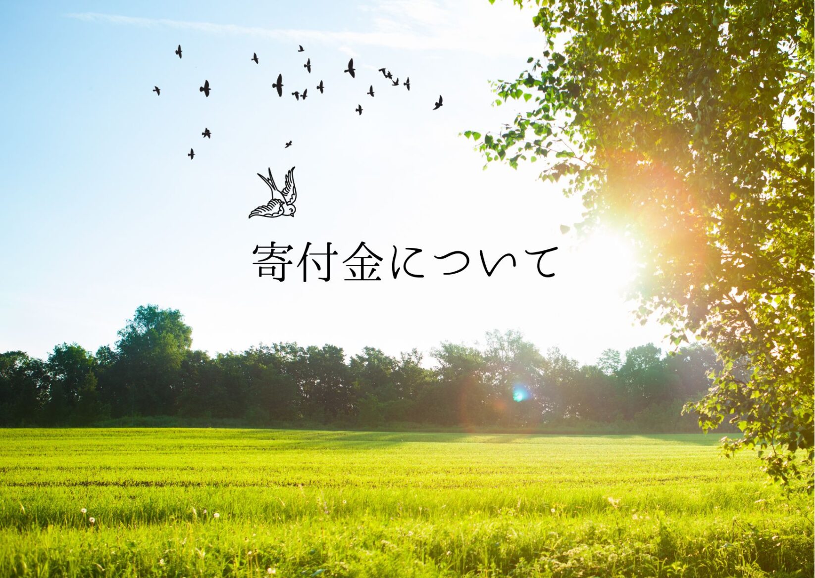 有機推進活動における寄付について